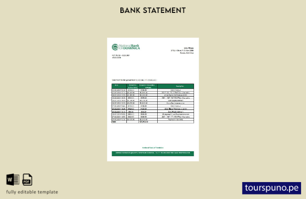 listo para imprimir plantilla de Excel de extracto bancario del Banco Nacional 1